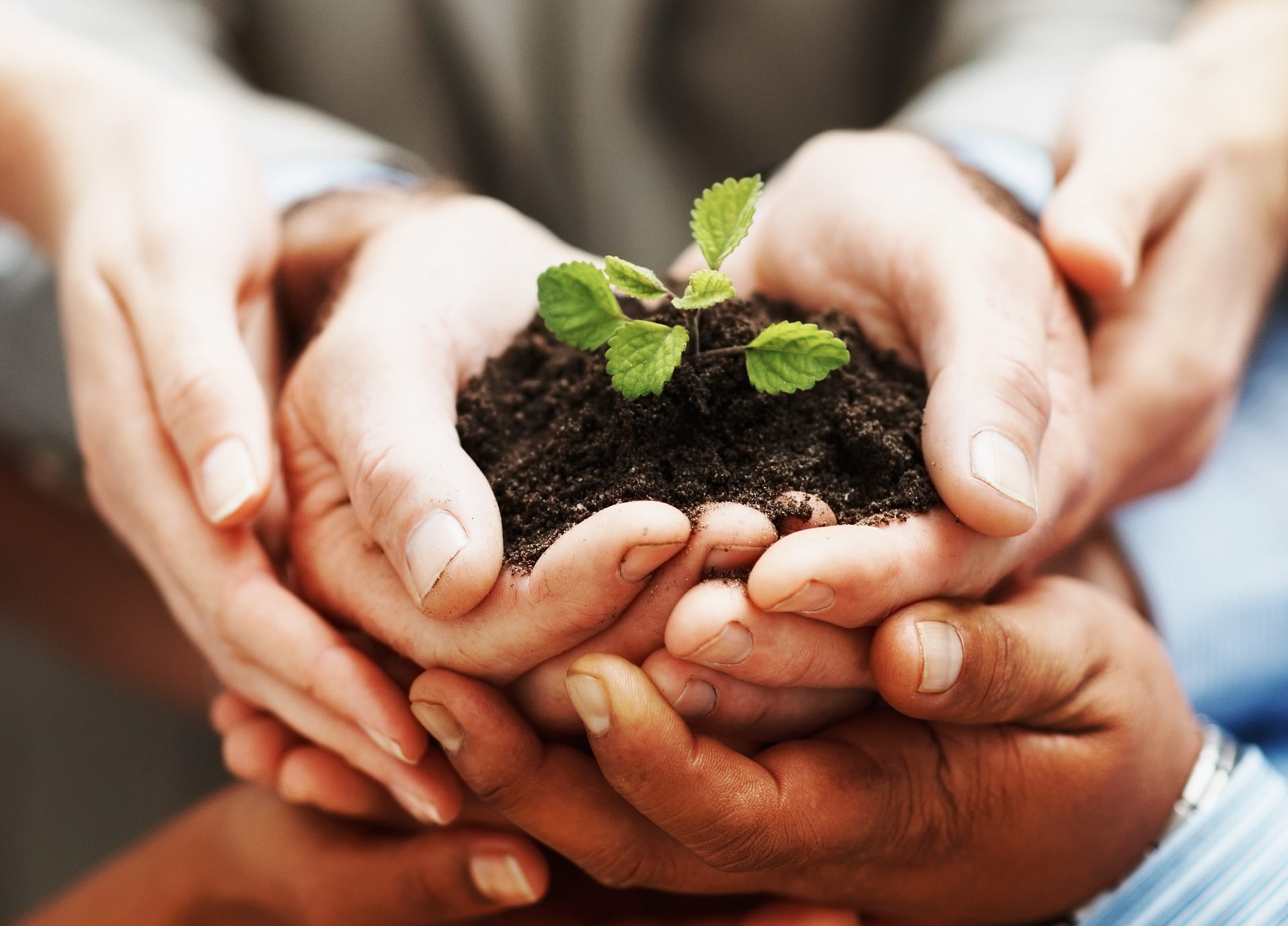 Fighting For People And Planet